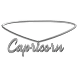3.0 Capricorn Zodiac Sign Necklace in Silver