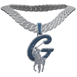 [3.0] Polo G Iced Out Chain