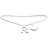 3.0 silver white R initial