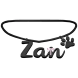 3.0 Zan Personalized Necklace
