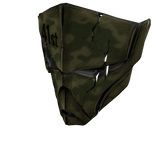 41st Holdout Mask
