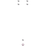 ۶ৎ paw face piercing in silver