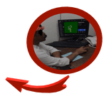 ابو حمدان & ragdoll