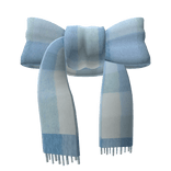 Acne Studio Blue Scarf 