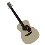 Acousitc Guitar