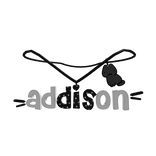 addison 1.0 for evan