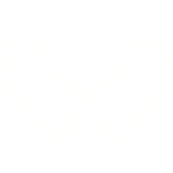 Aether Wings