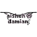 aisheh damian