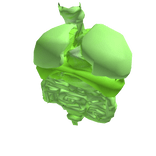 Alien Organs (Inside Torso)