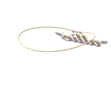 ✿ ◟allie 3.0 .˚✧