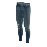 Amir pant