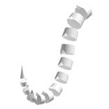 Ancient Dragon Tail [ White ]