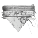 Ancient Gunda Temple White Cloth Bracelet