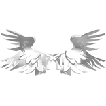 Angel Head Wings 