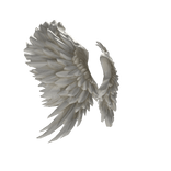 Angel wings