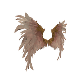 Angel Wings