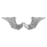 Angel Wings
