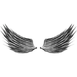 Angel Wings