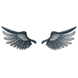 Angel Wings