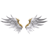 Angel Wings