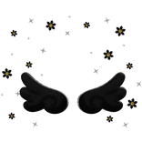 Angel Wings and Dasies Aura