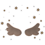 Angel Wings and Dasies Aura