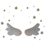 Angel Wings and Rainbow Dasies Aura