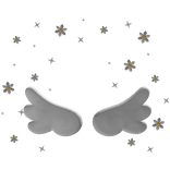 Angel Wings and White Dasies Aura