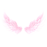 angle wings