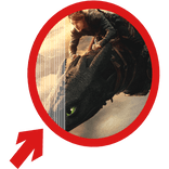 (Animated) Toothless Pointing Red Circle Meme