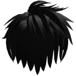 Anime Black Spiky Hair