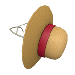 Anime Pirate Straw Hat on Back