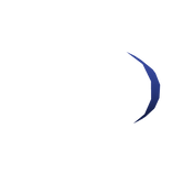 Anti-Piracy Back Quills