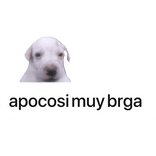 apoco si? funny spanish meme globo de texto