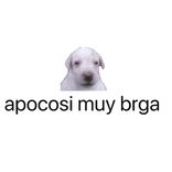 apoco si? globo de texto