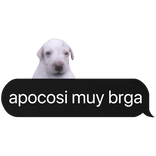 apoco si? spanish meme texto
