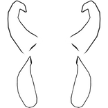Asgore Deltarune Horns (BUNDLE)