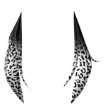 Asymmetrical white & black leopard tails