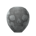 Augmented Soldier's Silver Skull Hunter Visor