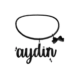 aydin