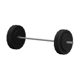 Back Squat Barbell