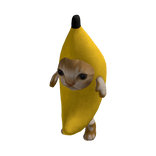 Banana Cat Suit 