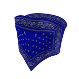 Bandana Crop Top | Blue