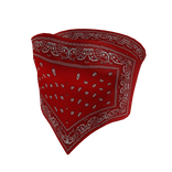 Bandana Crop Top | Red