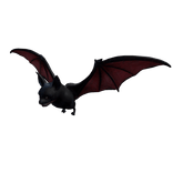 Bat right shoulder Pet 