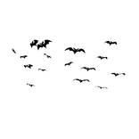 Bats