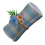 Beach Towel Roll