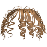 Beachy Curly Waves Extensions (Honey Blonde)