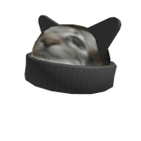 Beanie Funny Staring Cat