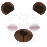 ♡ bear blush filter